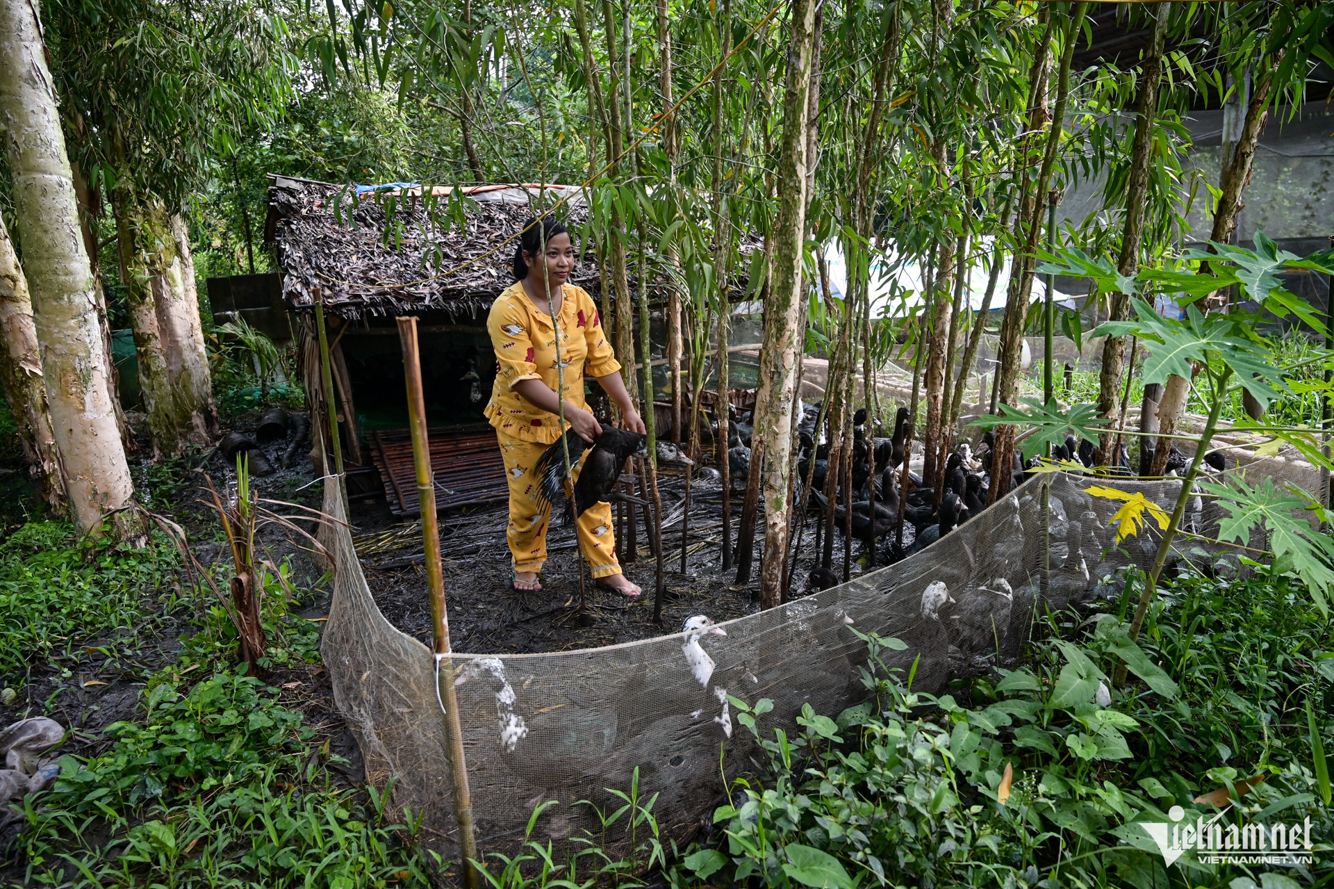 W-giam ngheo Nguyễn Huế 3.jpg