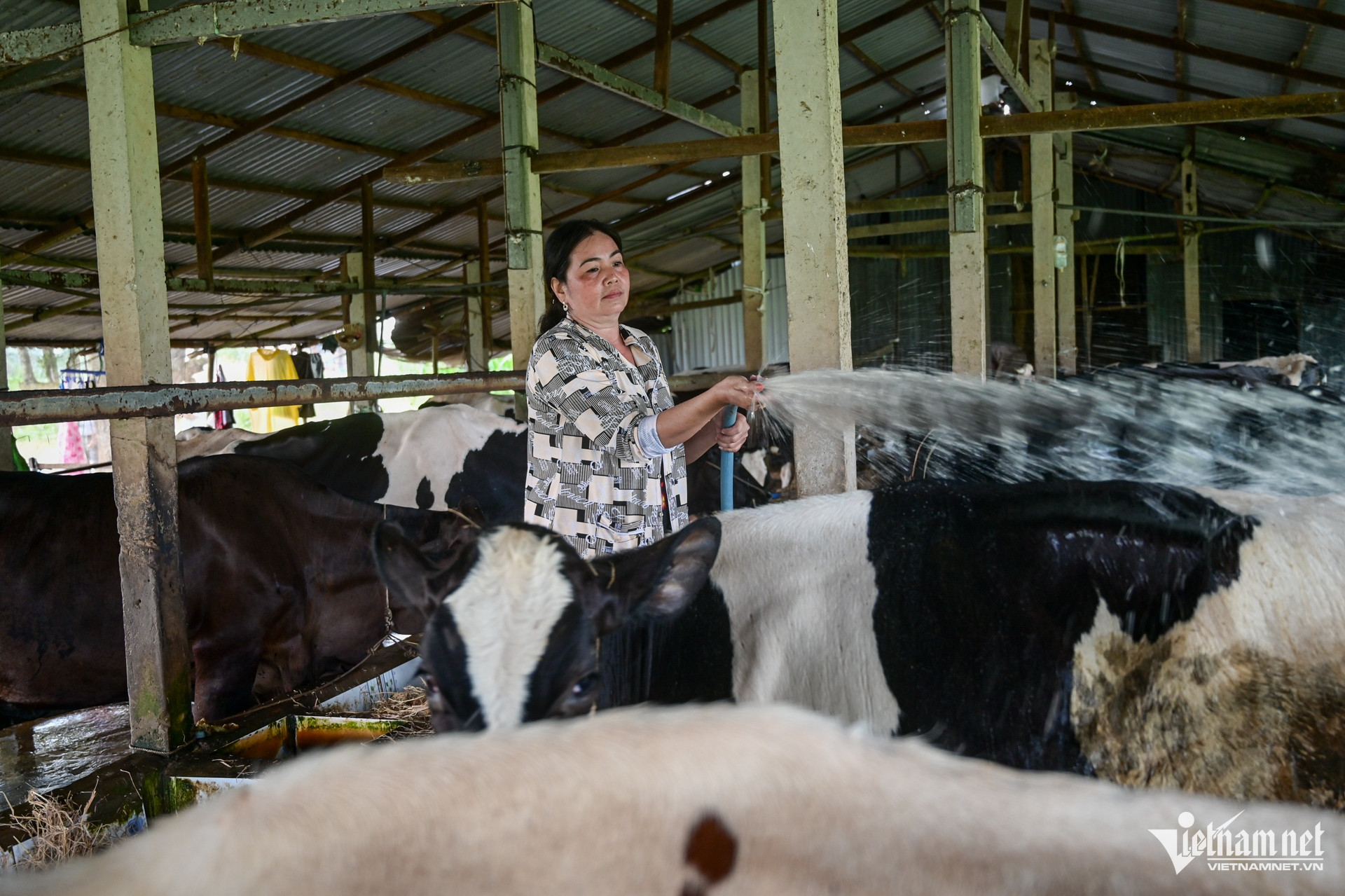 W-Sóc Trăng Nguyễn Huế 8.jpg