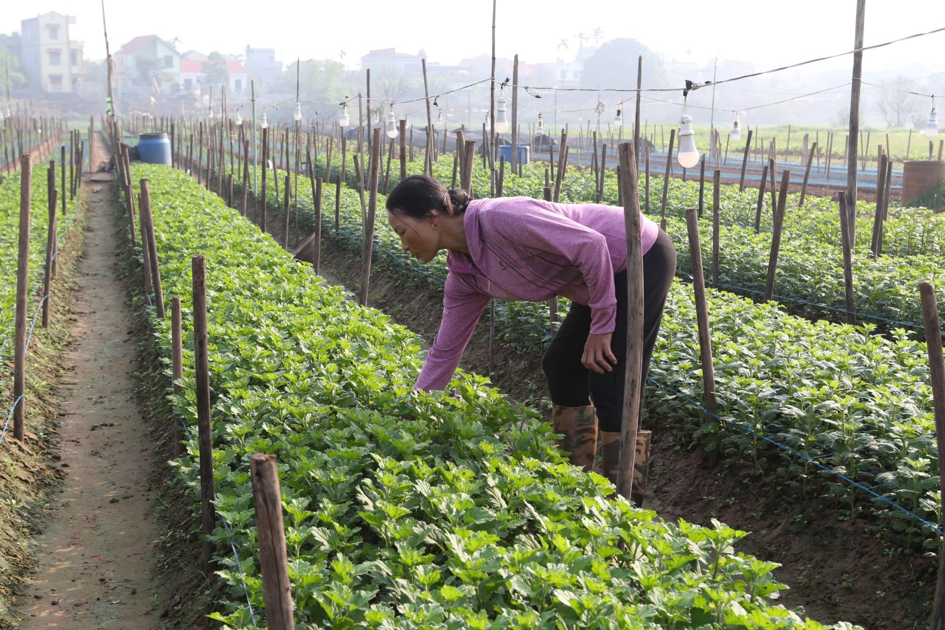 anh bai cds thanhhoa.jpg