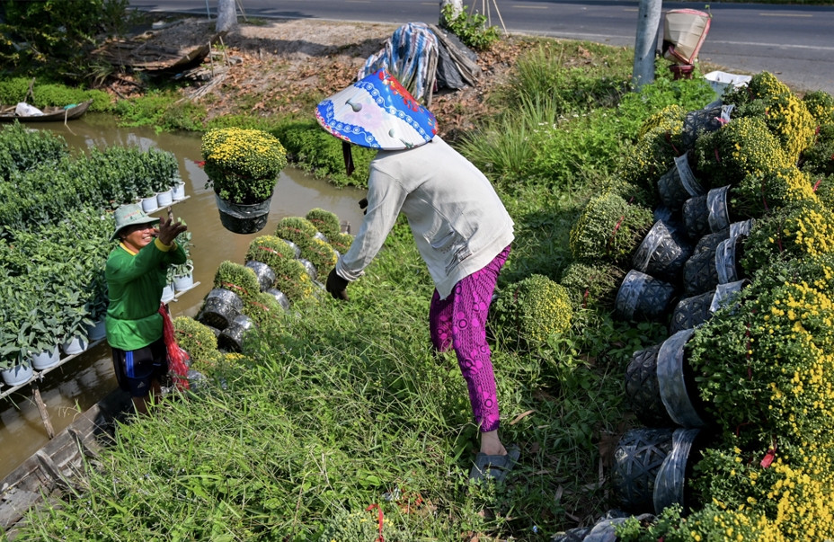 Đồng Tháp tái cơ cấu ngành hoa kiểng gắn với du lịch nông nghiệp