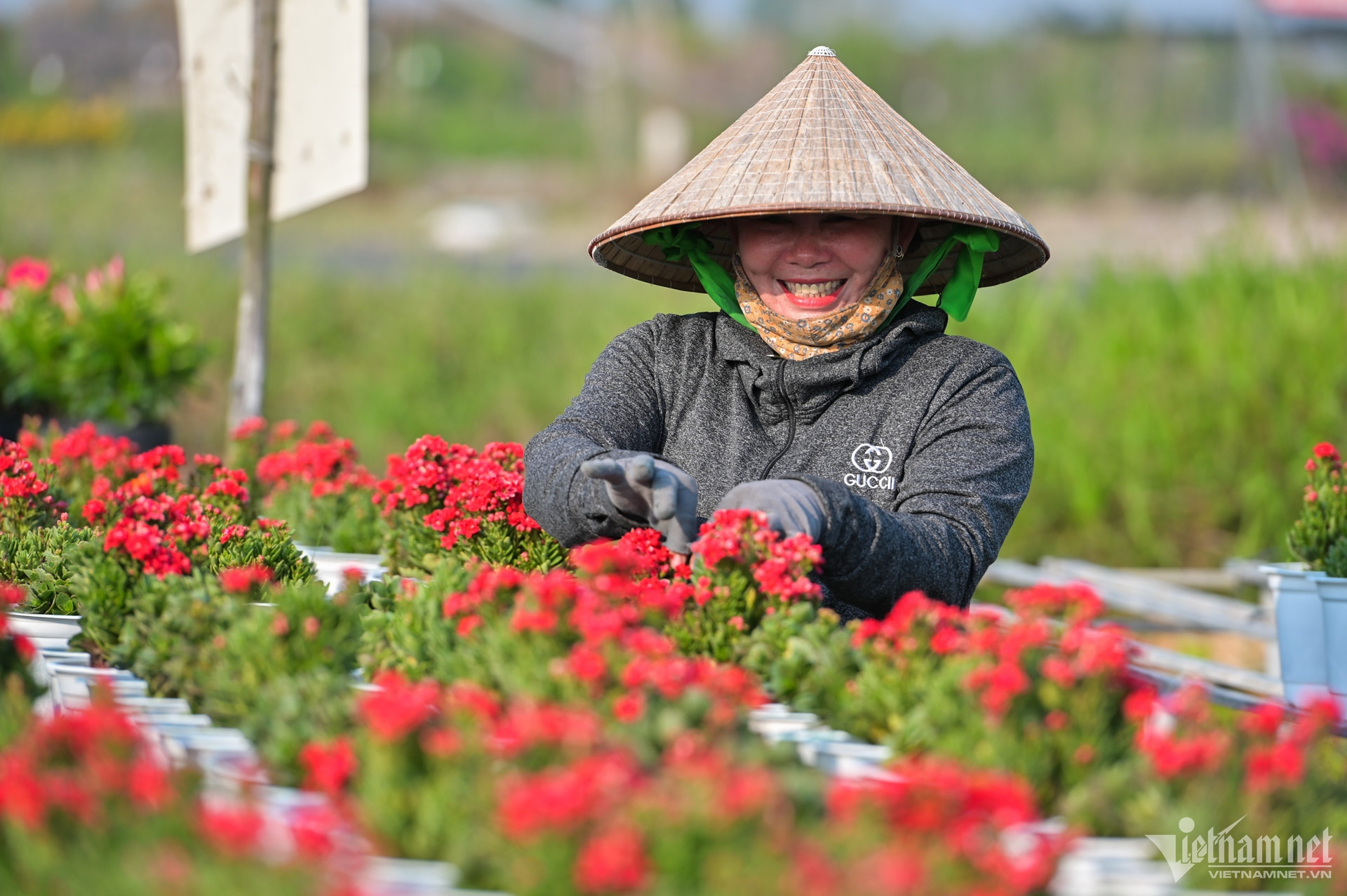 Đồng Tháp tiếp tục tái cơ cấu nông nghiệp theo hướng xanh và tuần hoàn