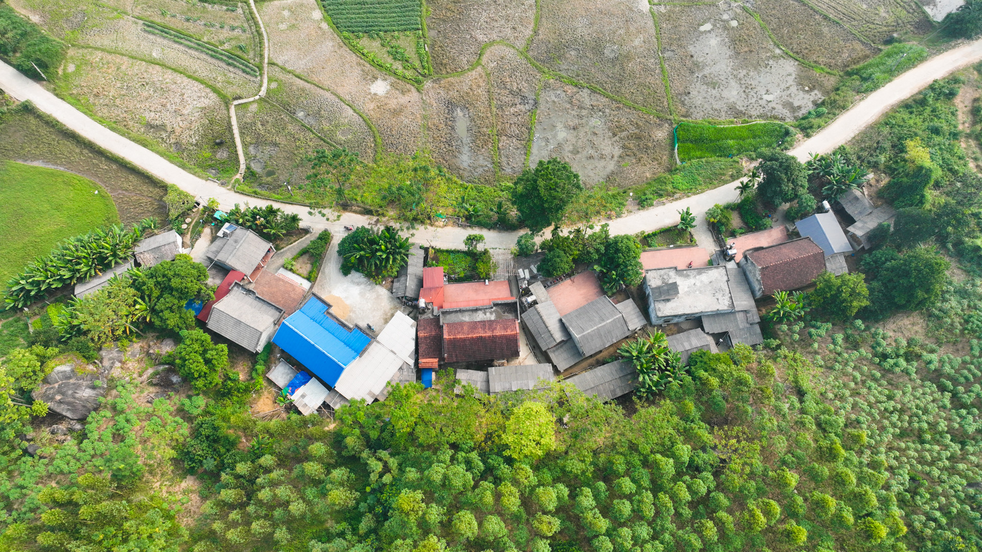 Tập trung hỗ trợ mở rộng sinh kế, chăm lo y tế, giáo dục cho hộ nghèo, cận nghèo