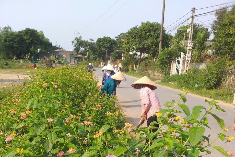 Thanh Hóa chú trọng bảo vệ môi trường nông thôn