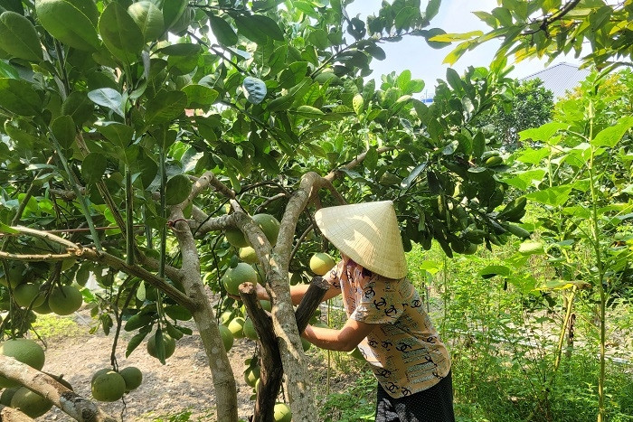 Thanh Hóa: Tăng cường truyền thông thúc đẩy giảm nghèo đa chiều