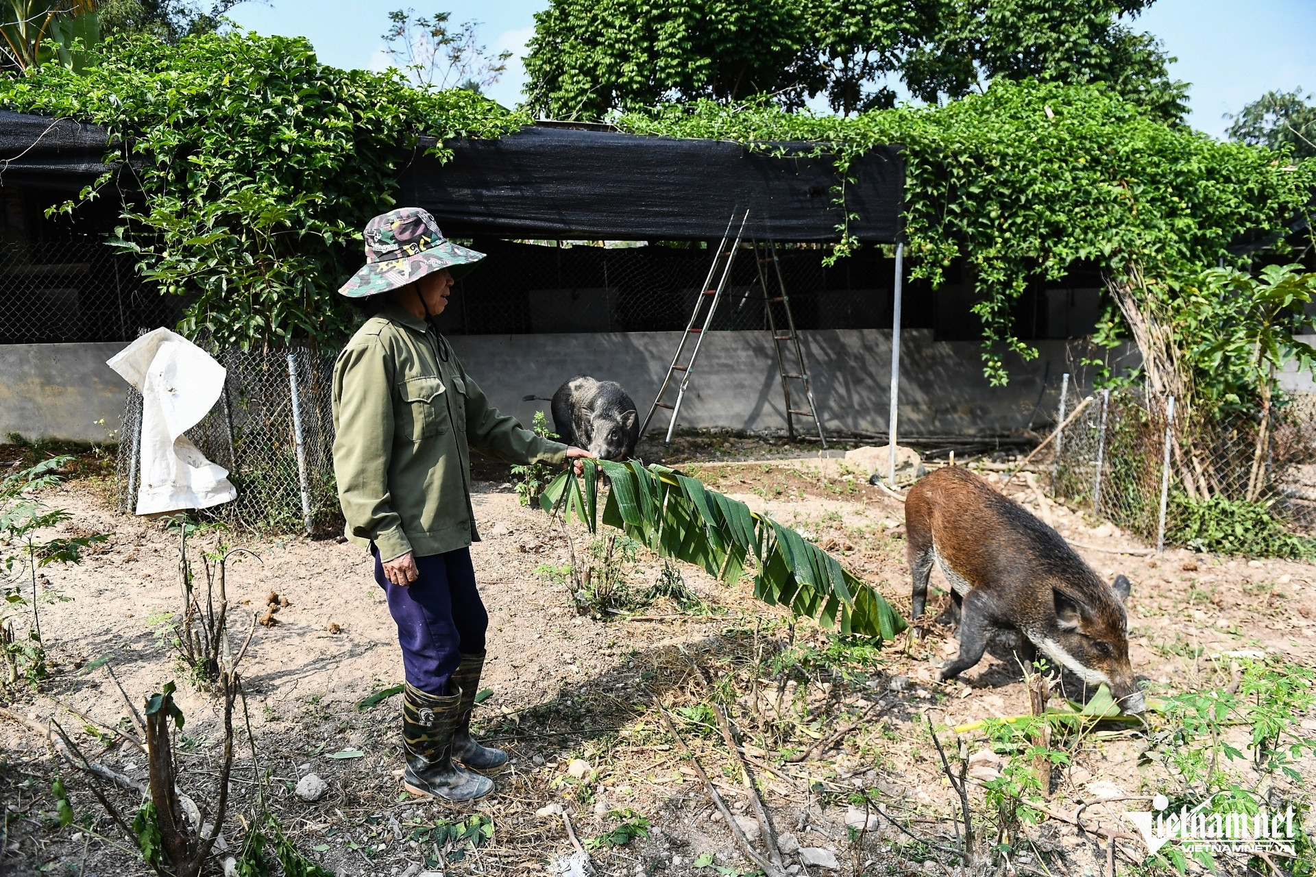 W-nong thon moi 10 100248.jpg