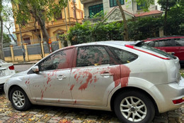 Khởi tố, bắt tạm giam 4 đối tượng tạt sơn vào nhiều ô tô ở Hà Nội