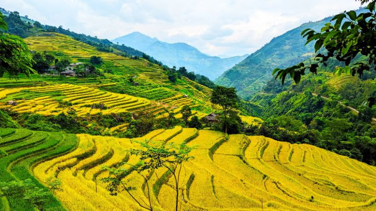 Hà Giang hướng tới phát triển xanh, bản sắc, bền vững và toàn diện