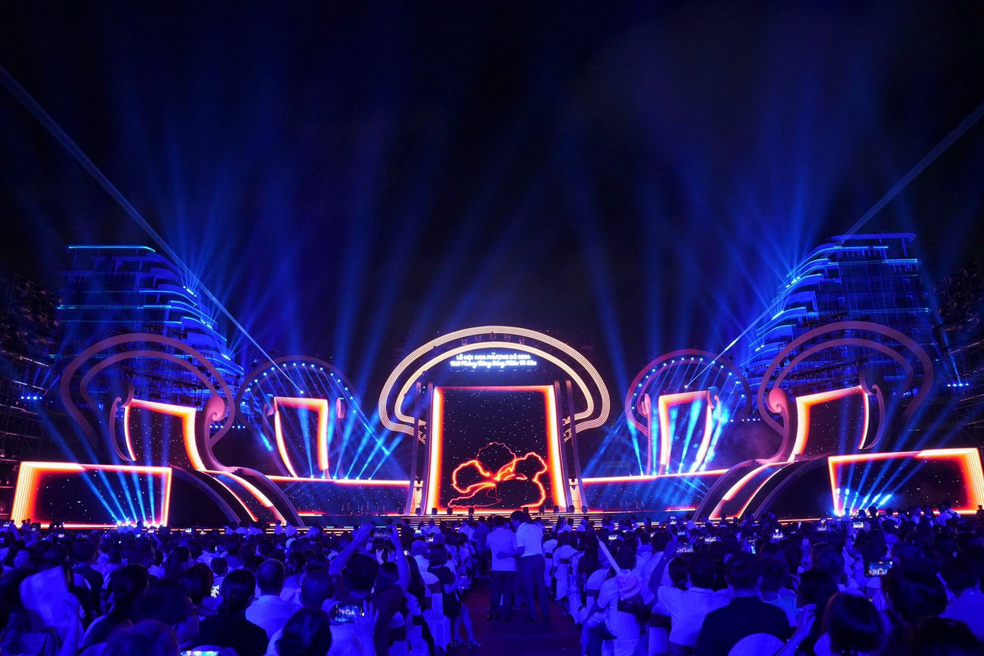 Hoa phương 10.jpeg