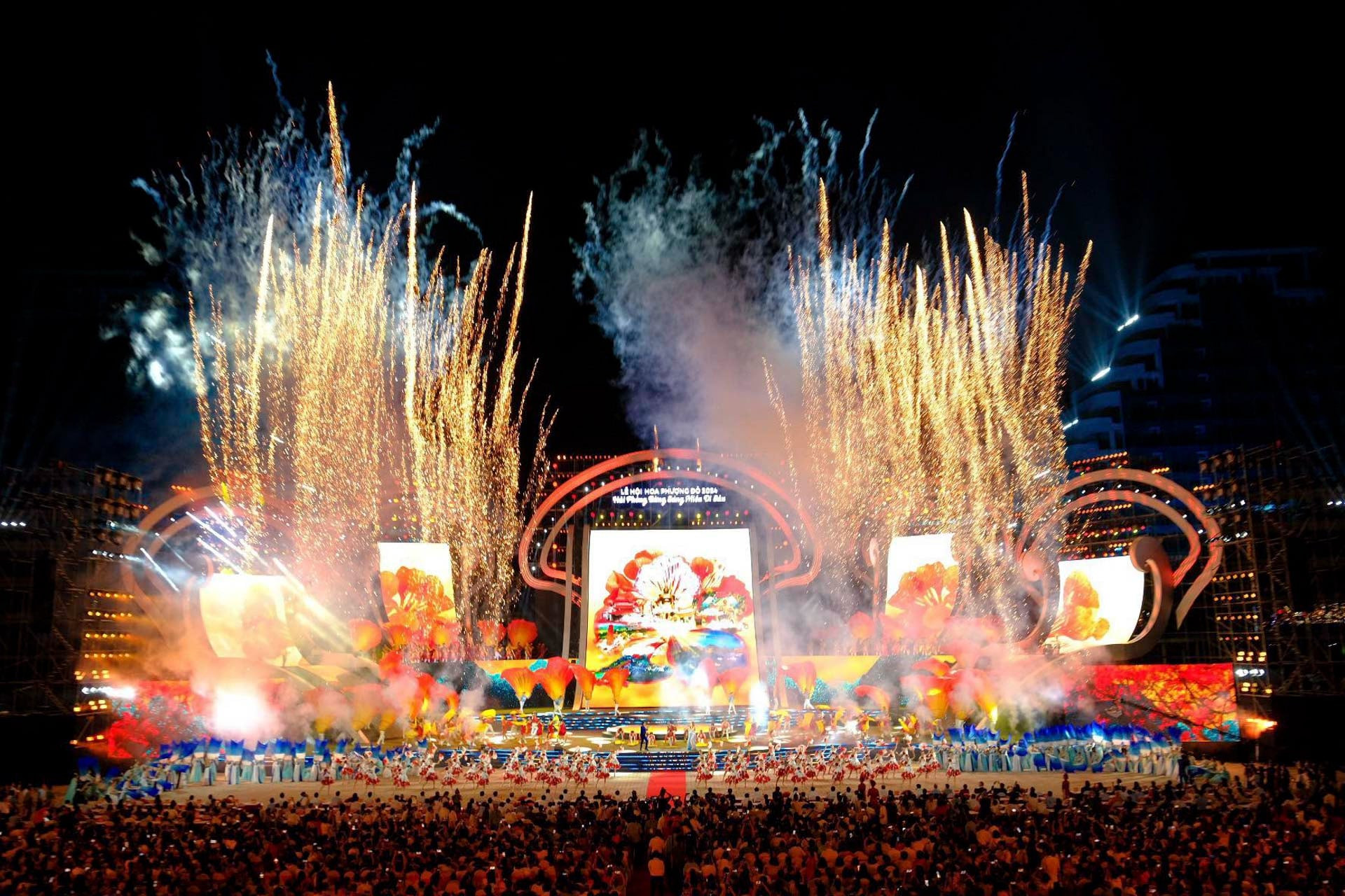 Hoa phượng 3.jpeg