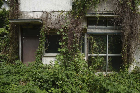 Dân số giảm từng năm, Nhật Bản lo giải quyết 9 triệu căn nhà bỏ hoang