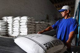 Giữa lúc giá cao, một quốc gia ở Đông Nam Á chi gần 1 tỷ USD mua gạo Việt Nam