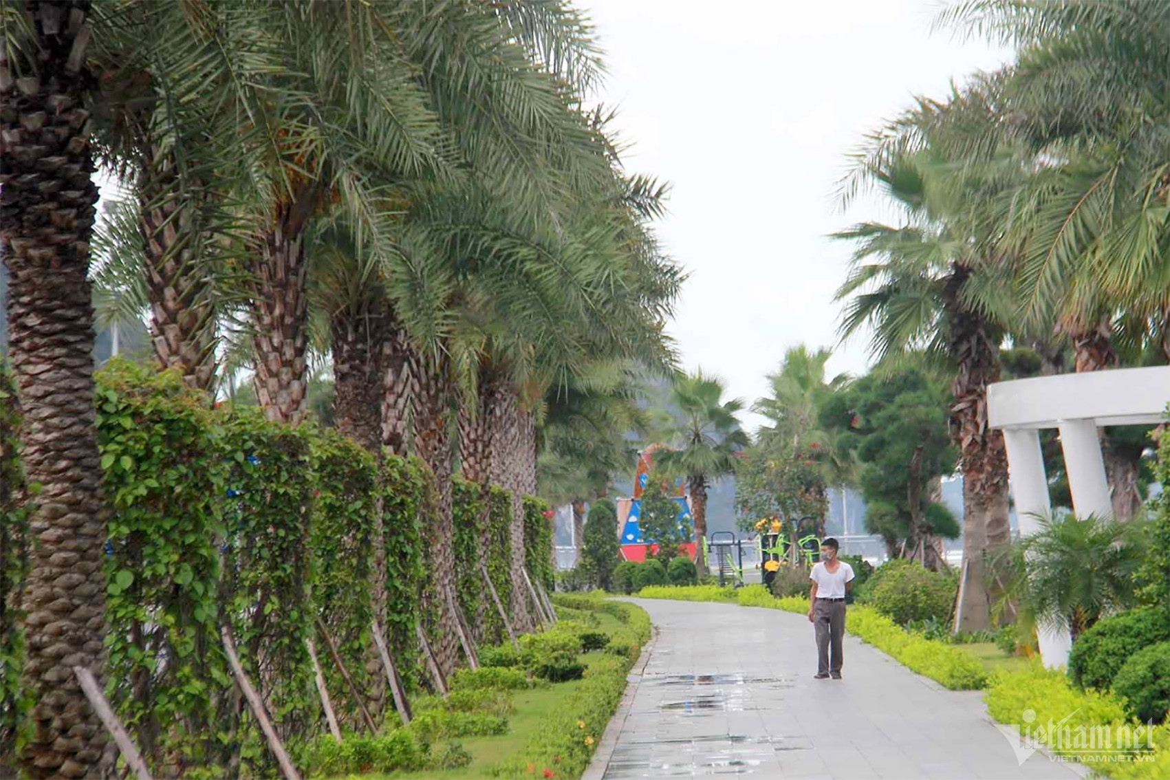 W-Ảnh chụp Màn hình 2024 05 13 lúc 15.12.09 copy.jpg