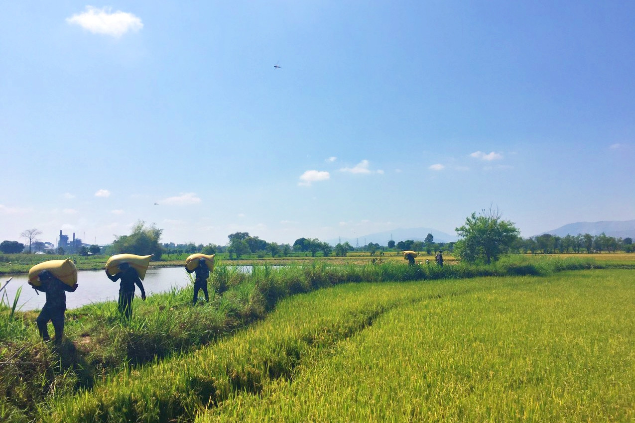 Ayun - Dòng sông chở huyền thoại