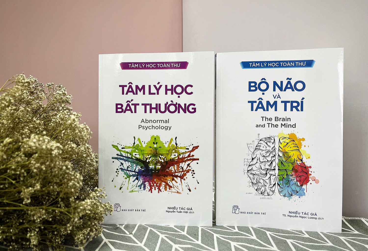 Chăm sóc sức khỏe tinh thần qua bộ sách 'Tâm lý học toàn thư'