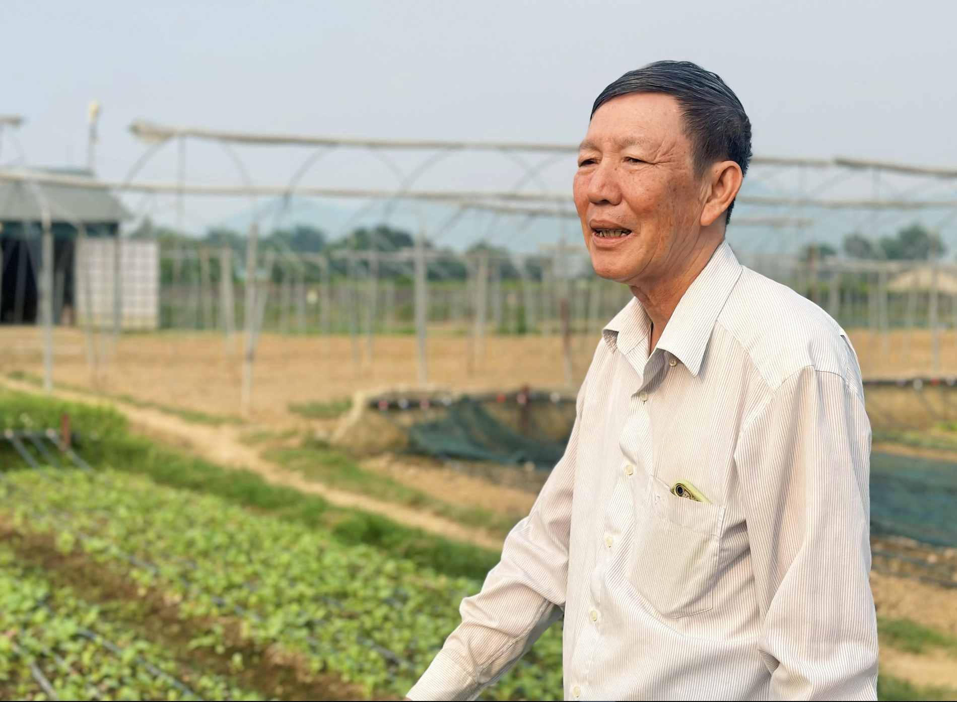 Ông Đỏ- Điện biên