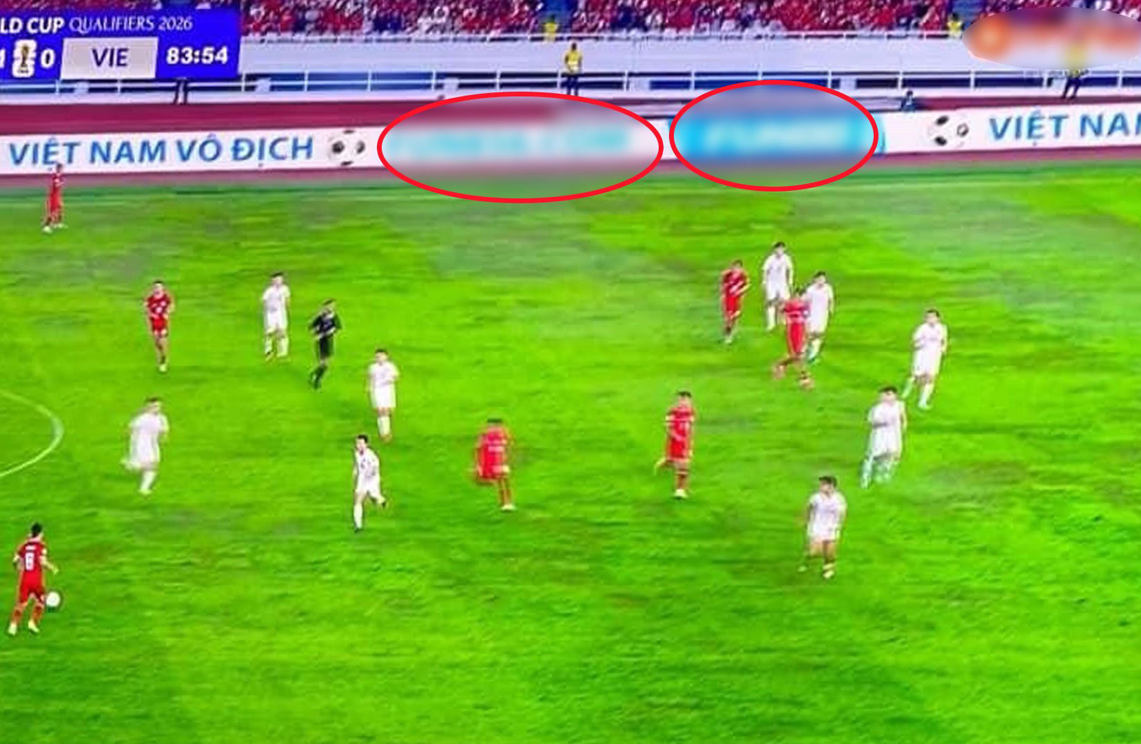 quang cao ca do 2.jpg