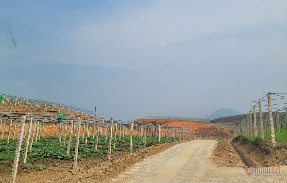 W-20240411-100947-1.jpg