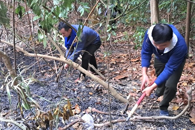 Cháy rừng ở Đà Nẵng, 200 người tham gia dập lửa