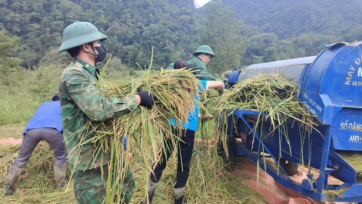 Giúp bà con tuốt lúa.