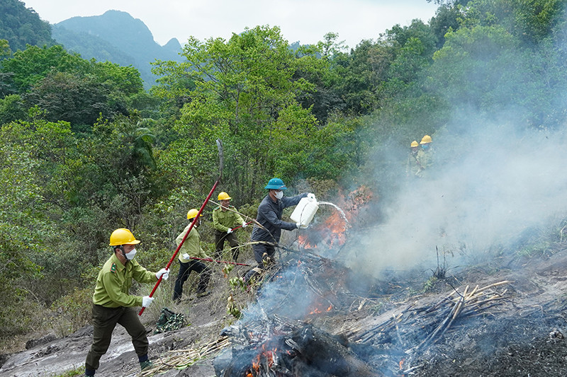 Quảng Bình chủ động triển khai các biện pháp phòng, chống cháy rừng