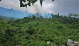 Bản tin sáng 16/5: Cháy rừng ở Đà Nẵng, 200 người tham gia dập lửa