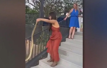 Con rắn bất ngờ xuất hiện trong đám cưới, phản ứng của em gái cô dâu gây sốc