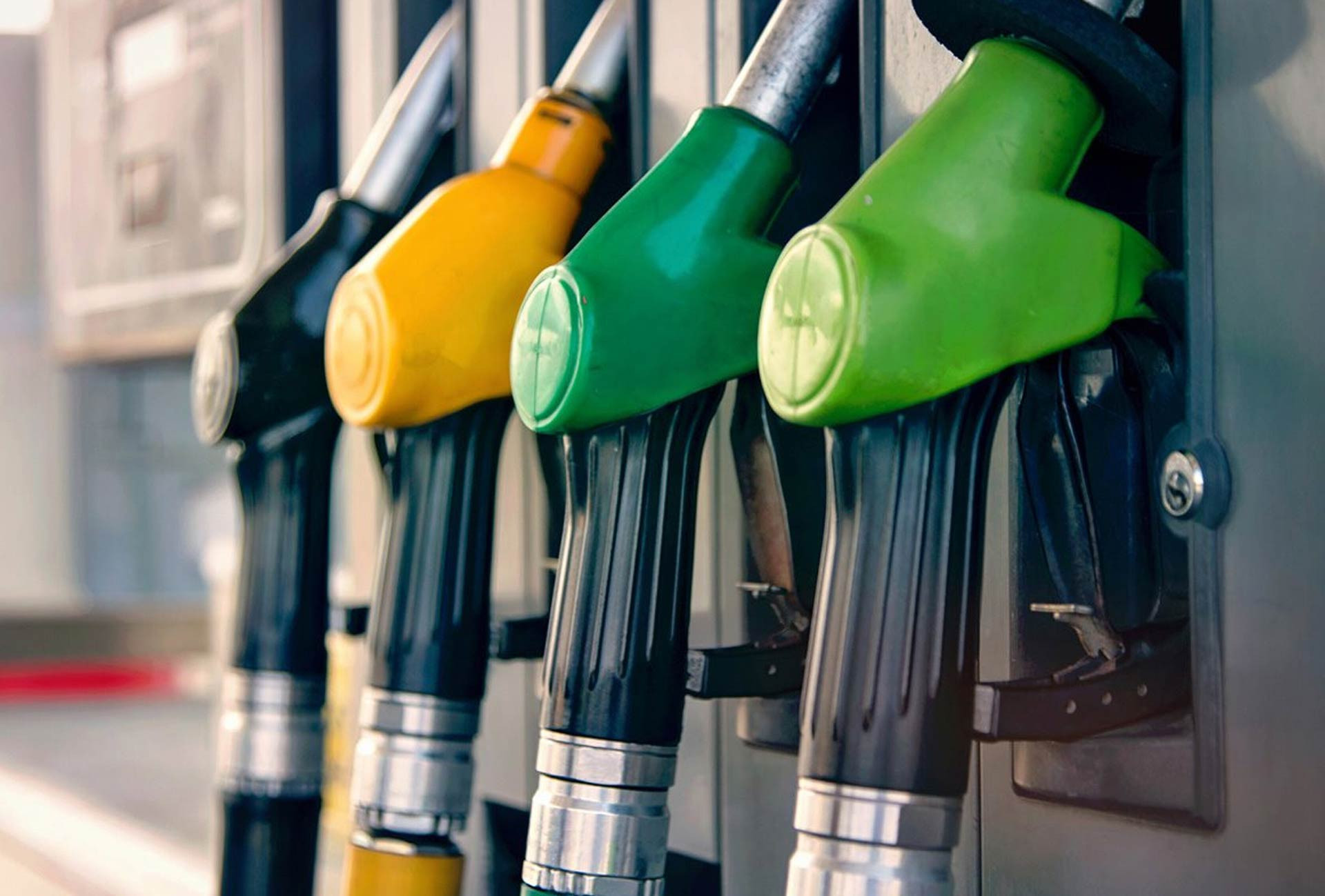 gia dau 1 1200 1246.jpg