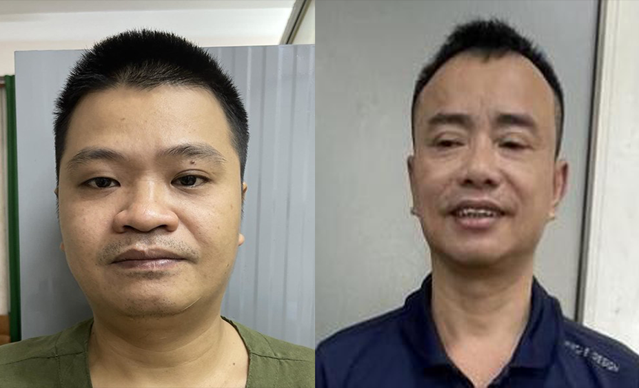 moi gioi mai dam.png