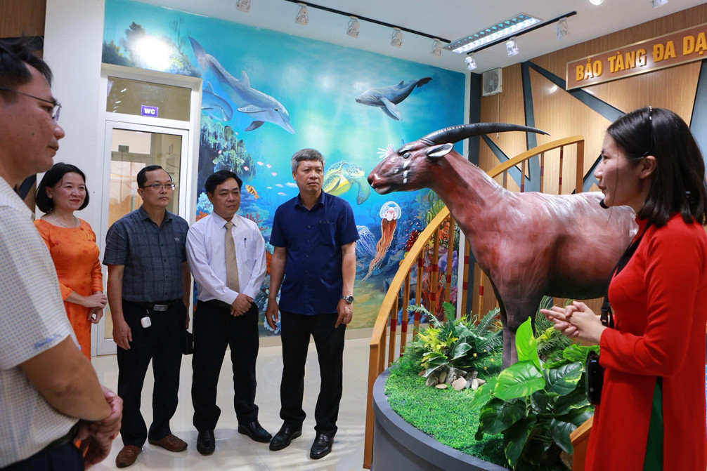 Quảng Nam xây dựng bảo tàng số về đa dạng sinh học