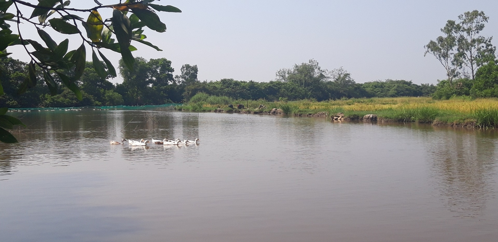 Sông Cánh Hòm chảy qua làng Rừng Sác làng Nhĩ Thượng, ảnh PXD.jpg