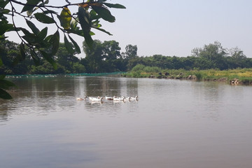 Năm ngày xuôi theo sông Cánh Hòm