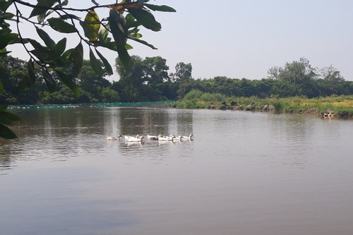 Năm ngày xuôi theo sông Cánh Hòm
