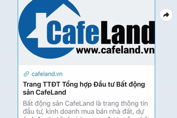 Tước giấy phép hoạt động 3 tháng với trang thông tin điện tử cafeland.vn