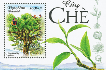 Bộ TT&TT phát hành tem bưu chính quảng bá cây chè Việt Nam