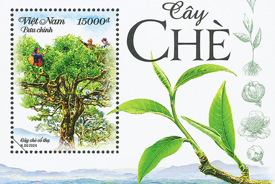 Bộ TT&TT phát hành tem bưu chính quảng bá cây chè Việt Nam