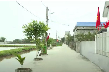 Nam Định xét công nhận thêm 2 xã đạt chuẩn nông thôn mới kiểu mẫu