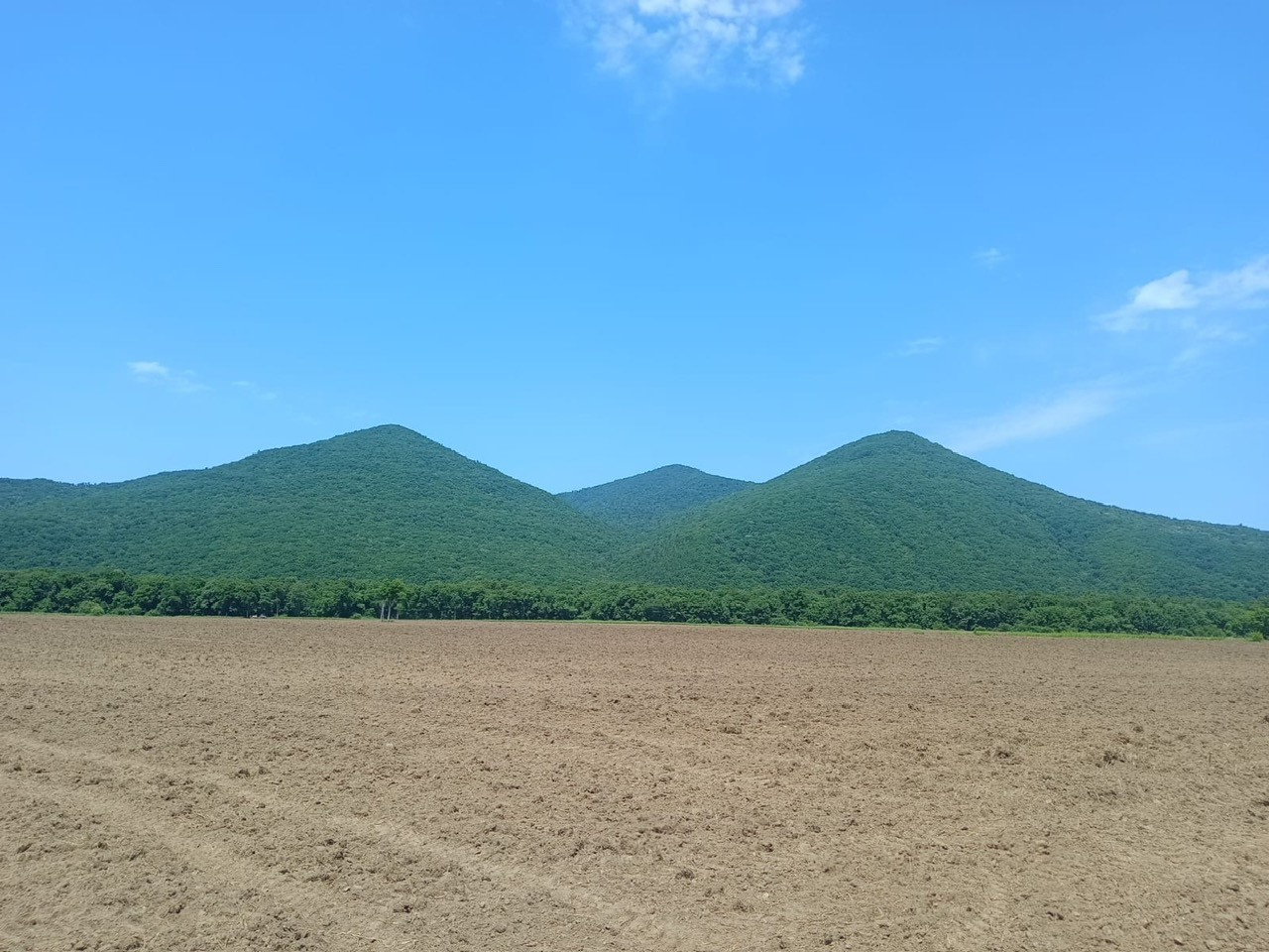 Vien Dong _ Khai hoang (3).jpg