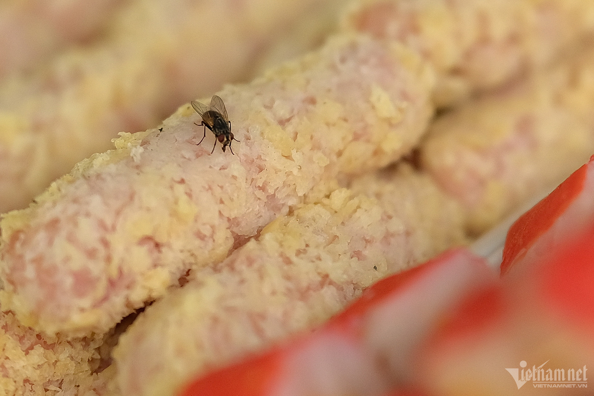 W-thuc pham_7.JPG.jpg