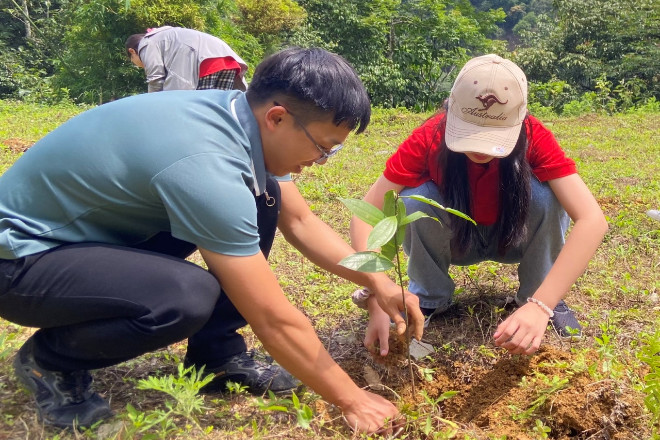 Chàng trai Yên Bái mê phủ xanh đồi núi trọc, bật khóc khi thấy cây khô héo