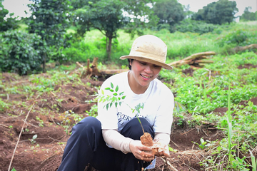 Đem rừng về vườn cà phê, chờ thu tiền từ bán tín chỉ carbon