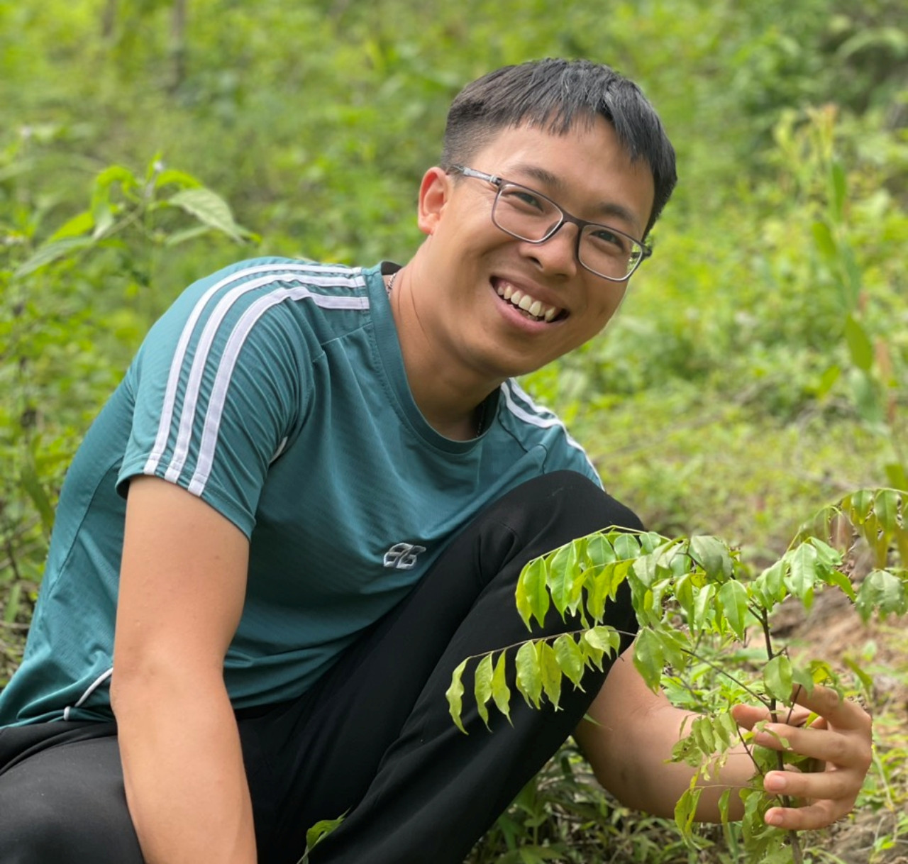 trong trieu cay xanh 2.jpg