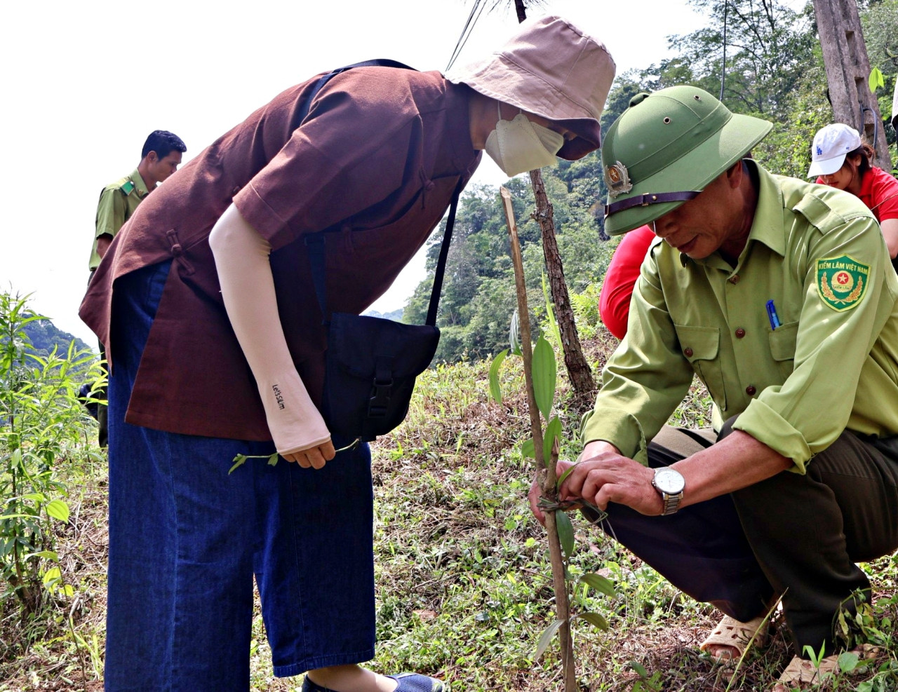 trong trieu cay xanh 5.jpg