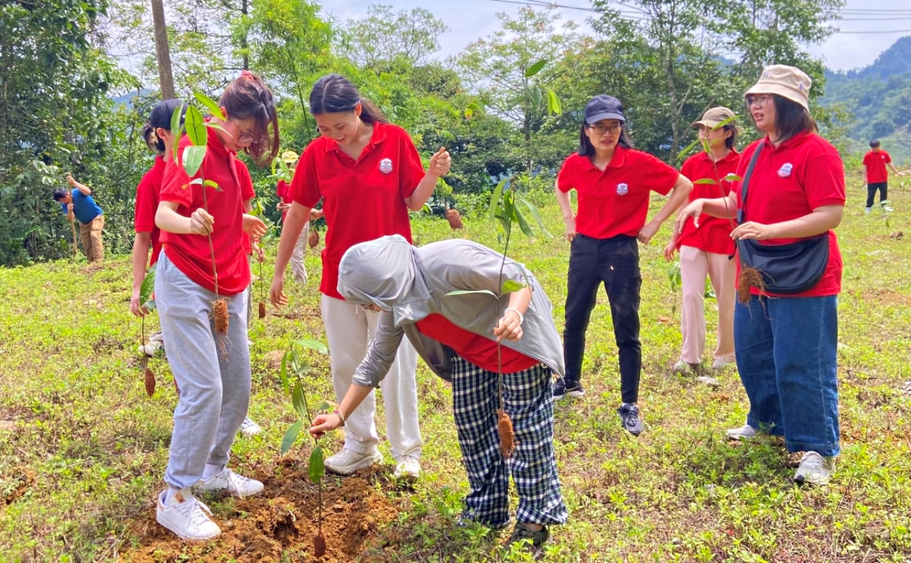 trong trieu cay xanh.jpg