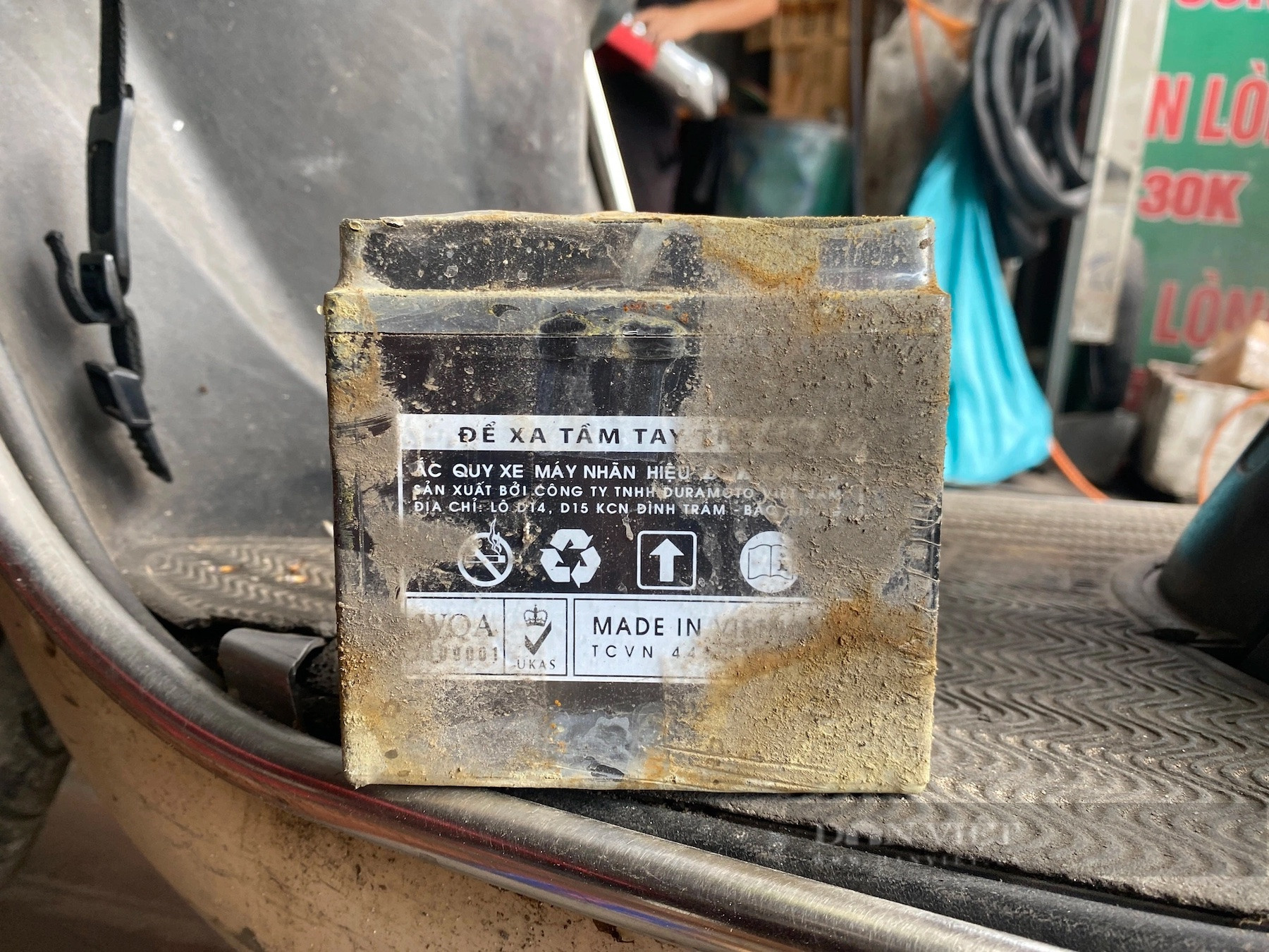 Bản sao base64 1716515851544570464450.jpg