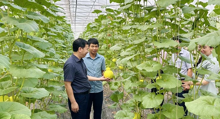 Đưa khoa học - công nghệ đến với nông dân