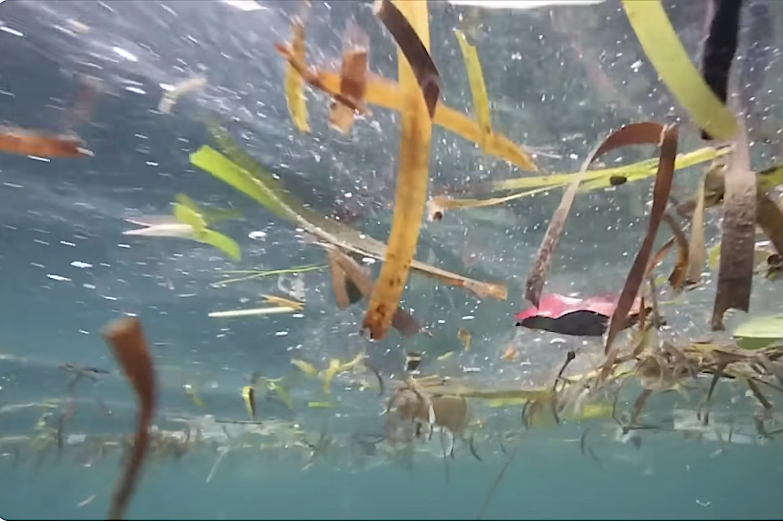 Thúc đẩy các giải pháp hành động giảm thiểu chất thải nhựa ngành nông nghiệp một cách có hệ thống