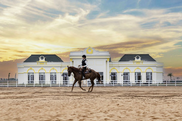 Loạt sự kiện đẳng cấp ra mắt học viện cưỡi ngựa và phố đi bộ tại Vũ Yên