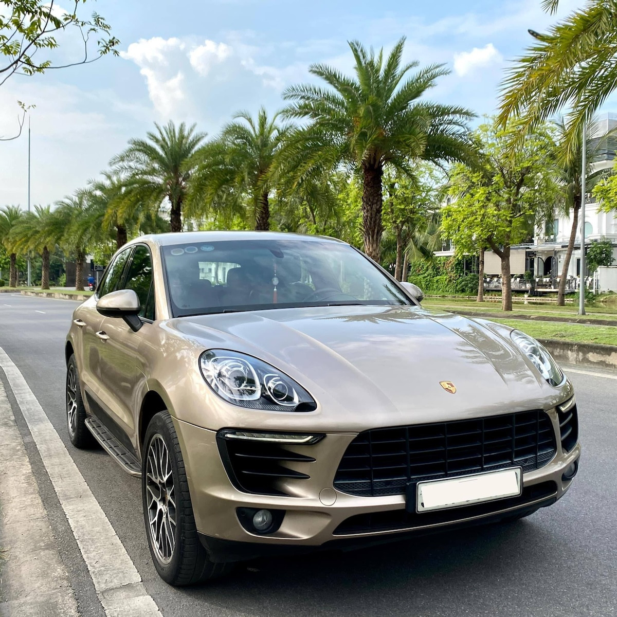 Porsche Macan 2014.jpeg