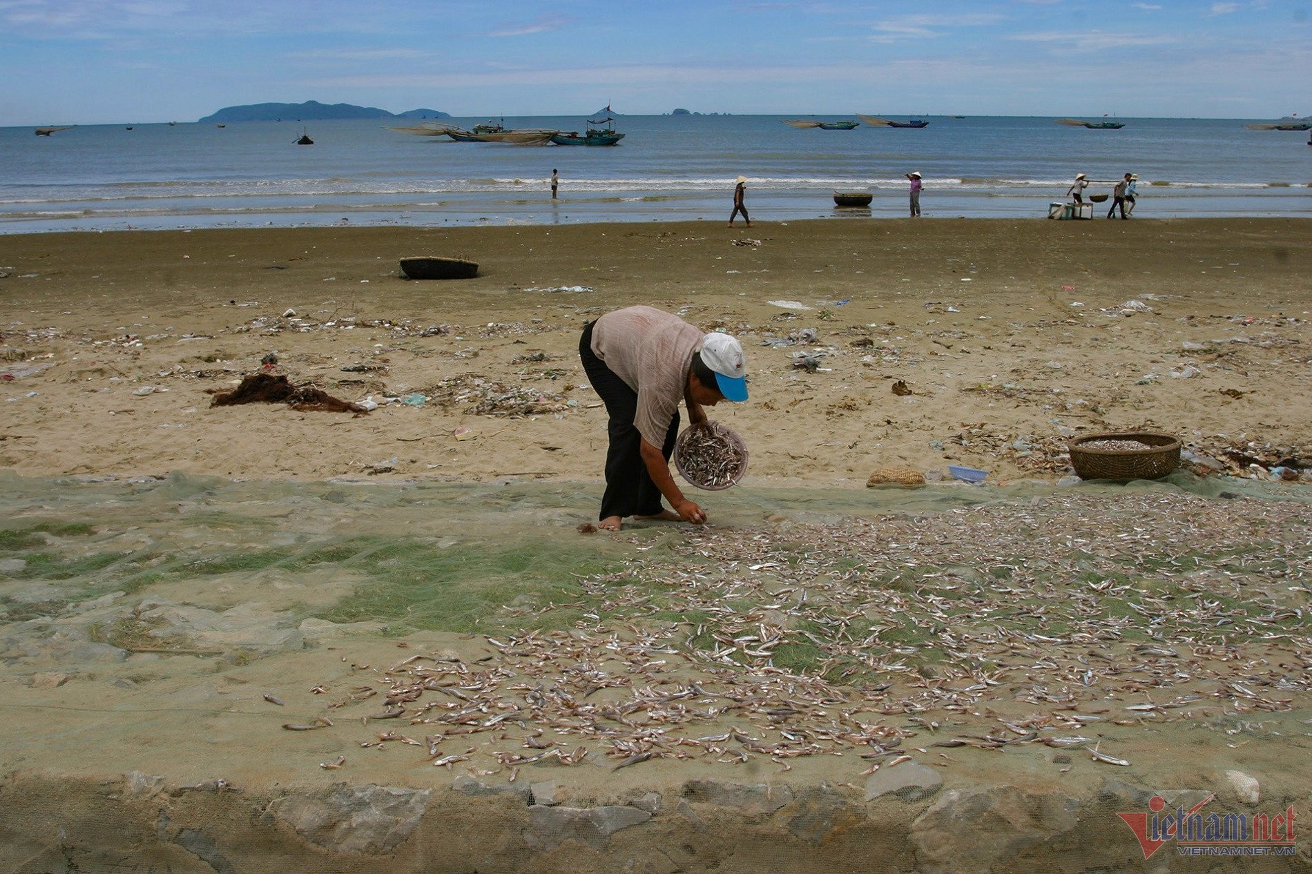 W-ảnh đã dùng.jpg