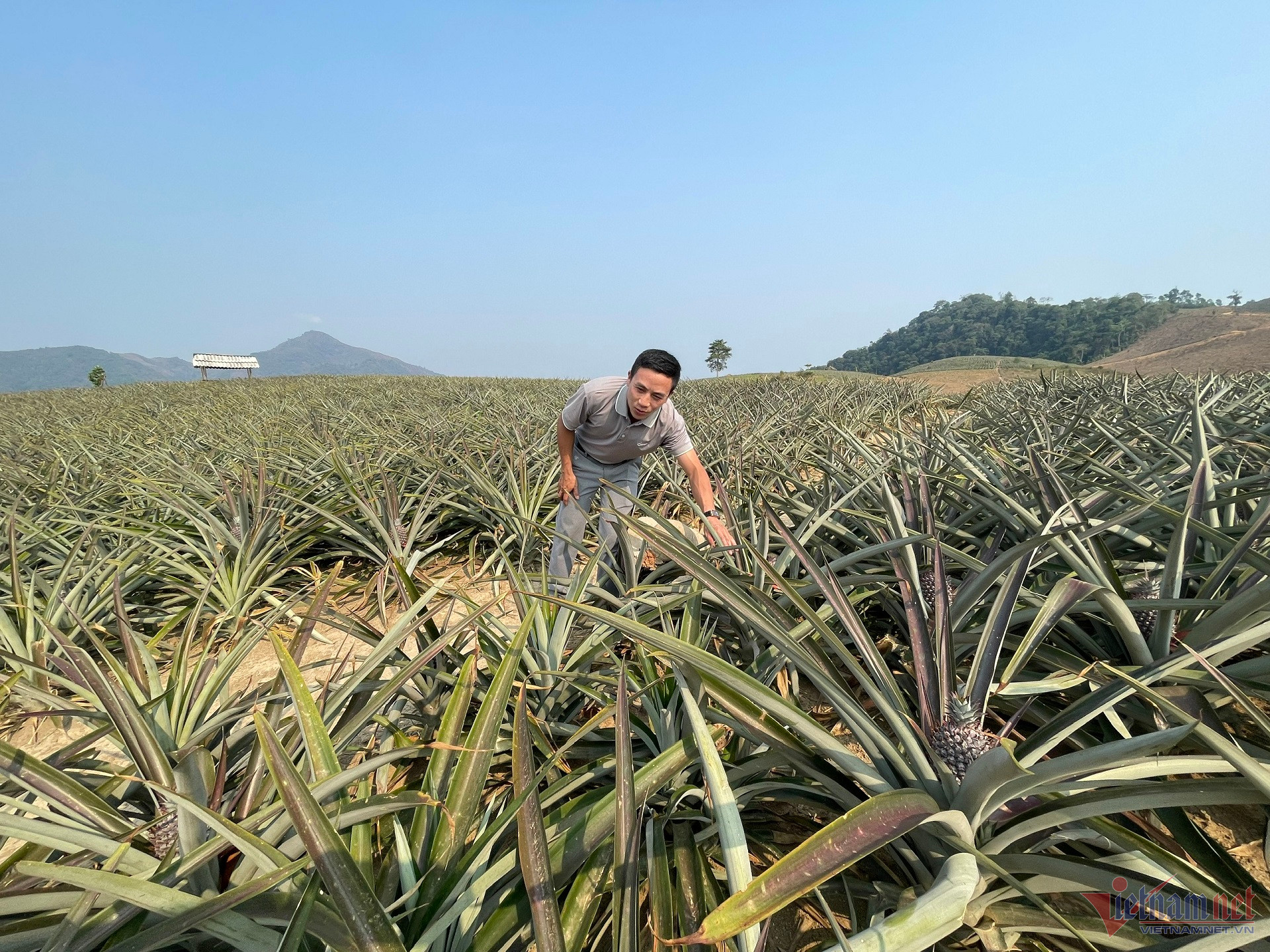 W-thào a giàng ĐB.jpg